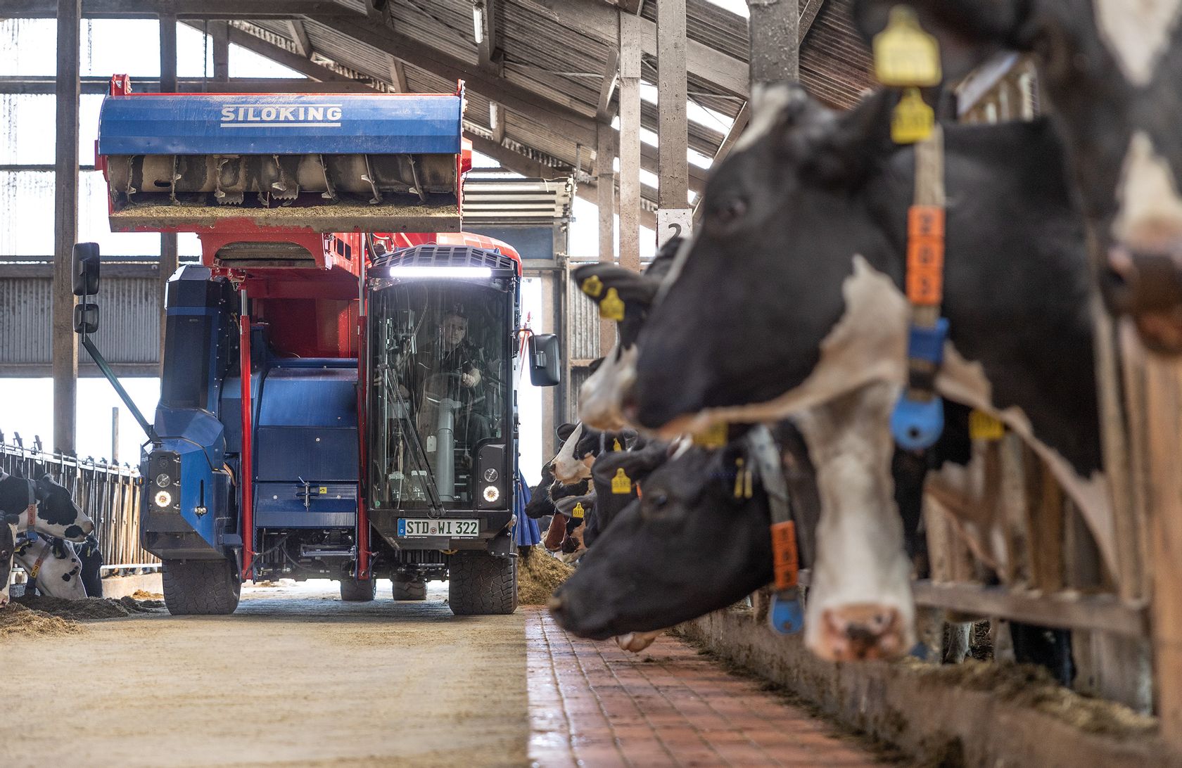 SILOKING SelfLine 4.0 Premium 2215