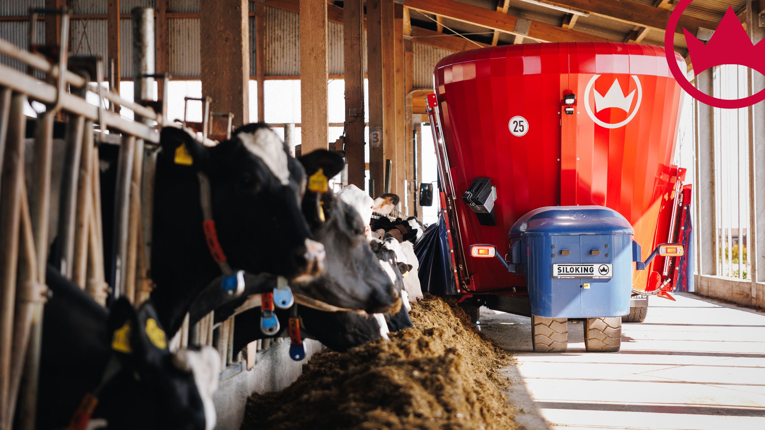 image-is-output-with-fixed-width-the-height-is-calculated-from-the